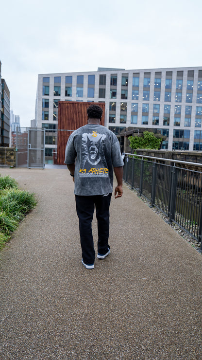 Person walking on a pathway with buildings in the background